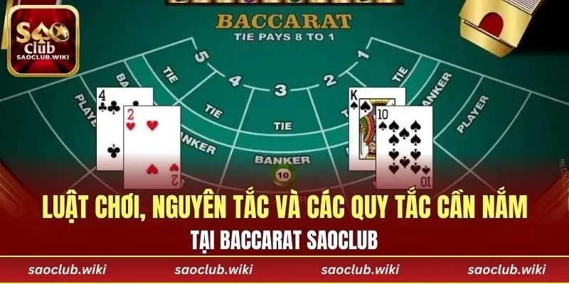 Các luật chơi, nguyên tắc & quy tắc khi giải trí tại baccarat SAOCLUB