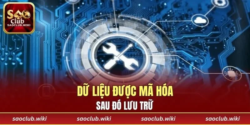 Dữ liệu được mã hóa sau đó lưu trữ