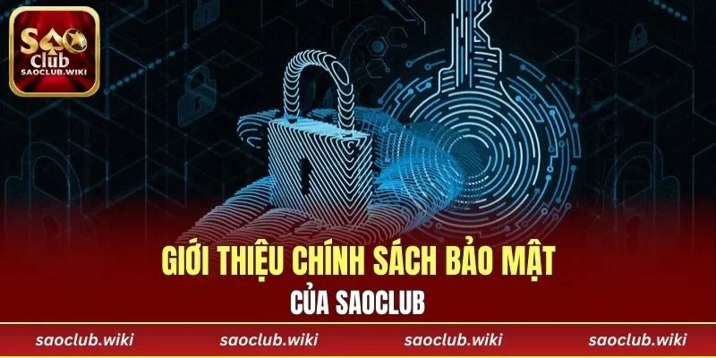 Giới thiệu chính sách bảo mật của SAOCLUB