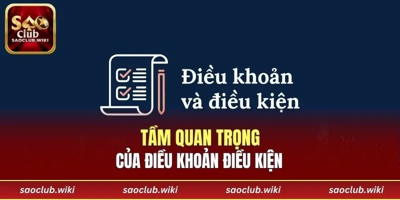 Tầm quan trọng khi sử dụng và tuân thủ điều khoản điều kiện